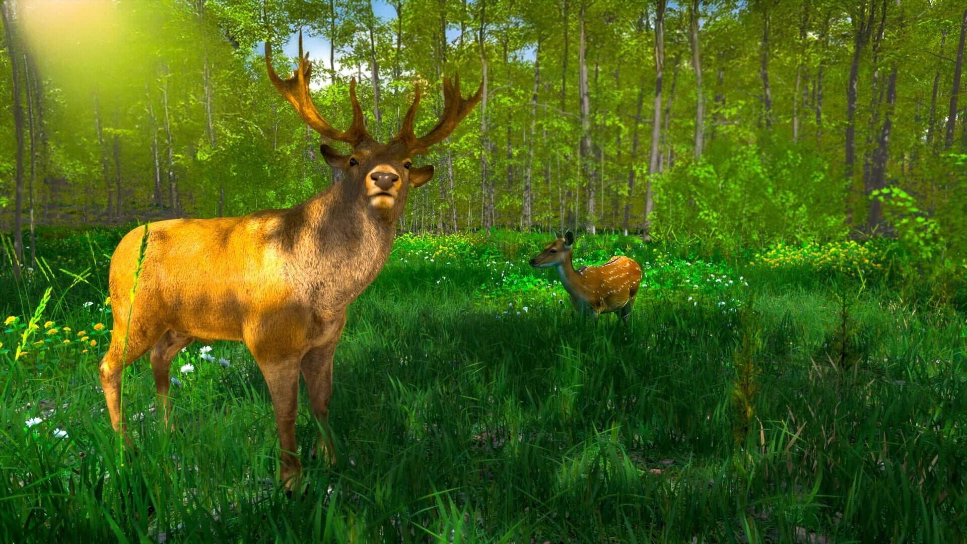 اسکرین‌شات Wild Hunter: Sniper Rifle Adventures Simulator - 2