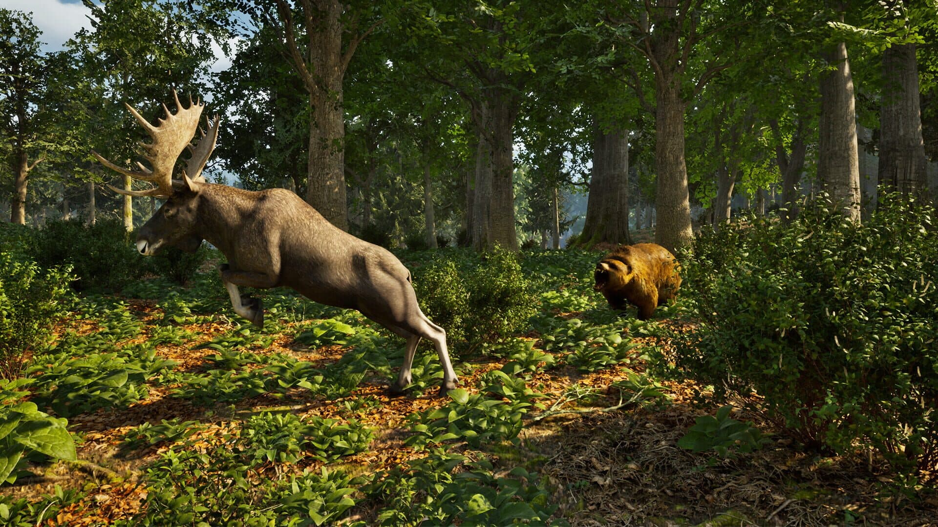 اسکرین‌شات Park Ranger Simulator - 6
