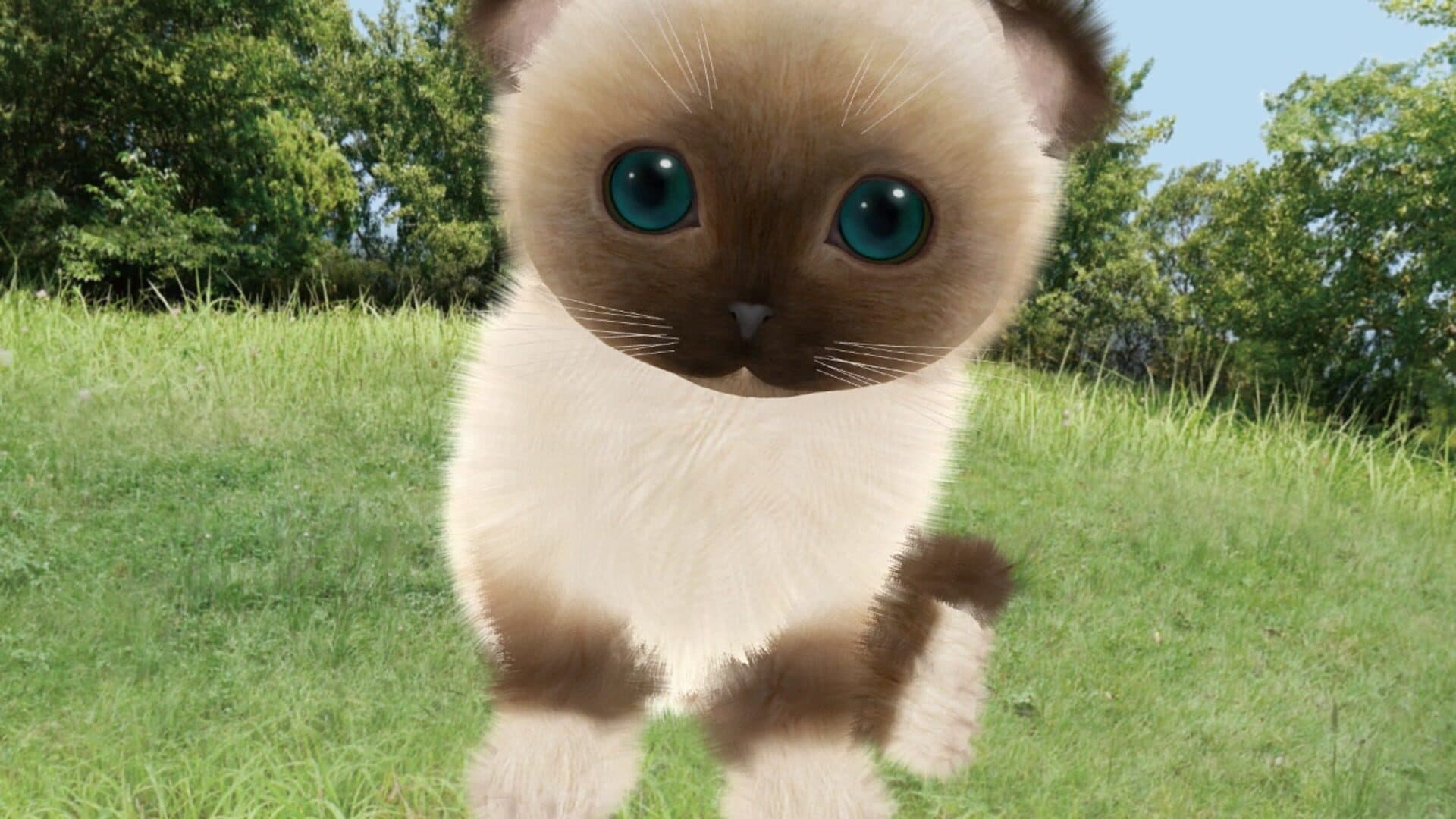 اسکرین‌شات Aabs Animals - 1