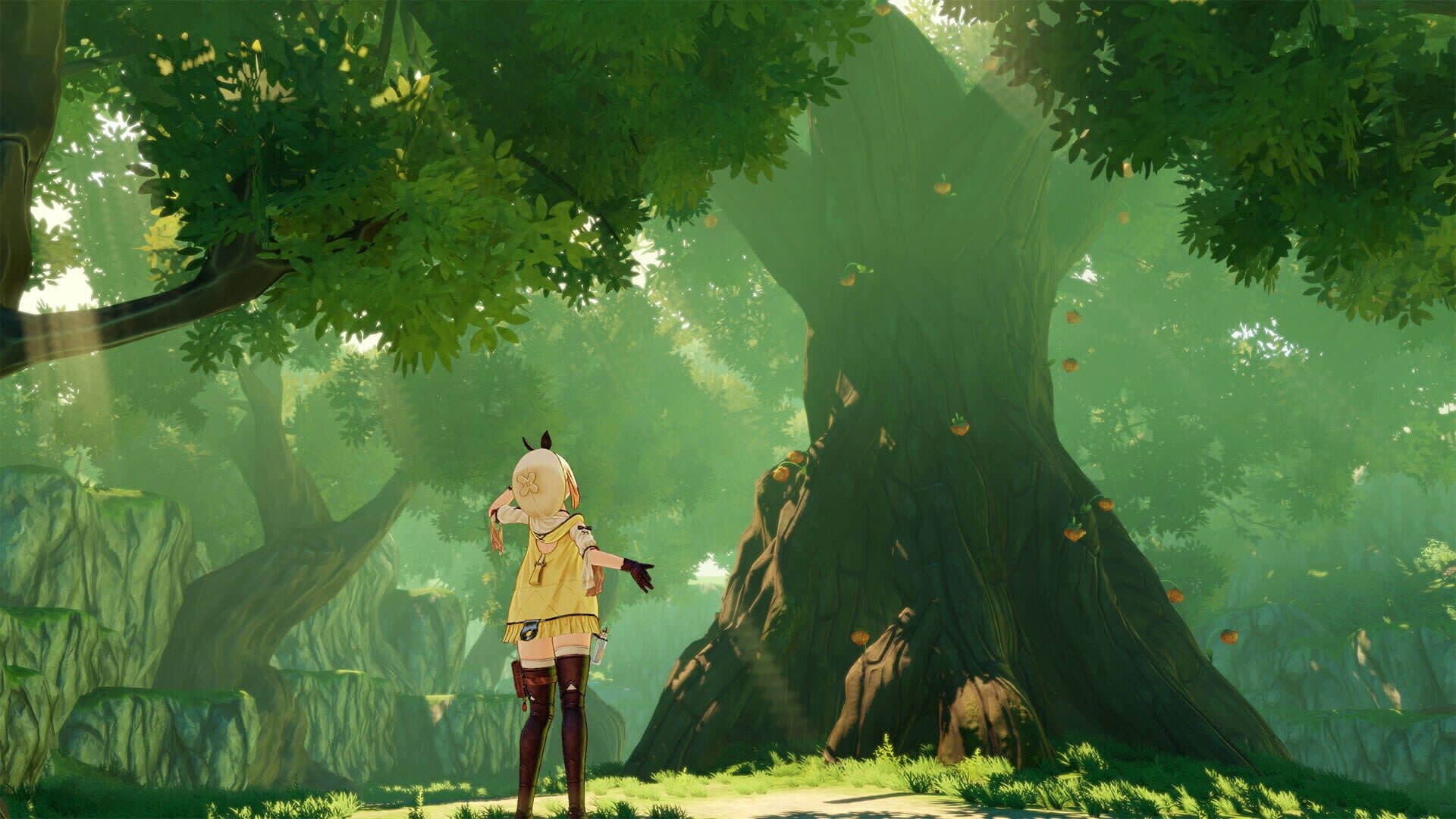 Atelier Ryza: Ever Darkness & the Secret Hideout screenshot 6