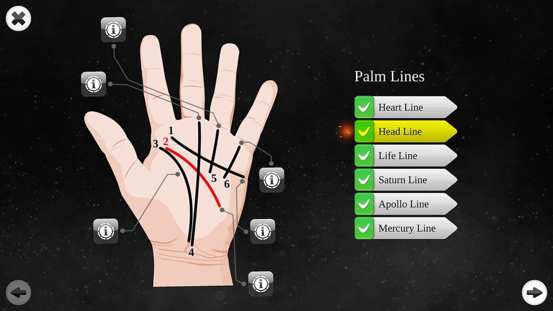 اسکرین‌شات Palm Reading Premium - 5