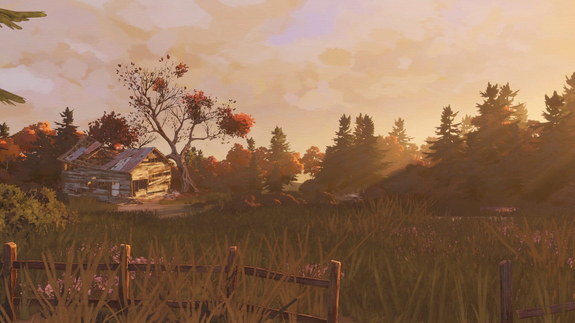 Open Roads screenshot 1
