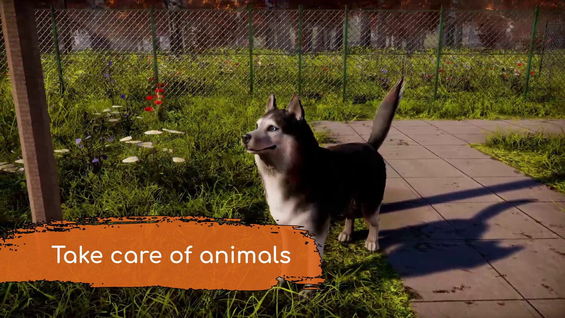 اسکرین‌شات Animal Shelter 2 - 19