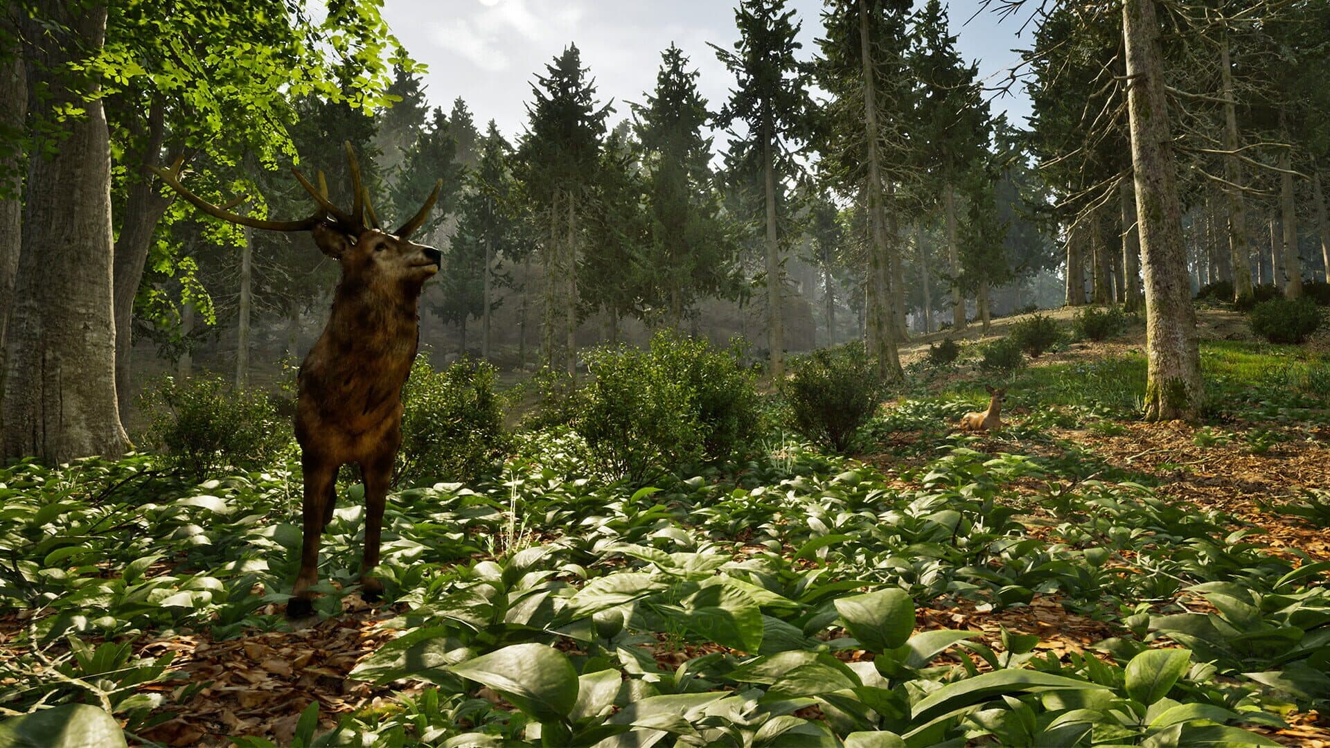 اسکرین‌شات Park Ranger Simulator - 8