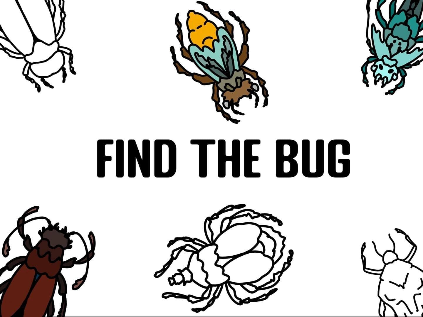 Find the Bug