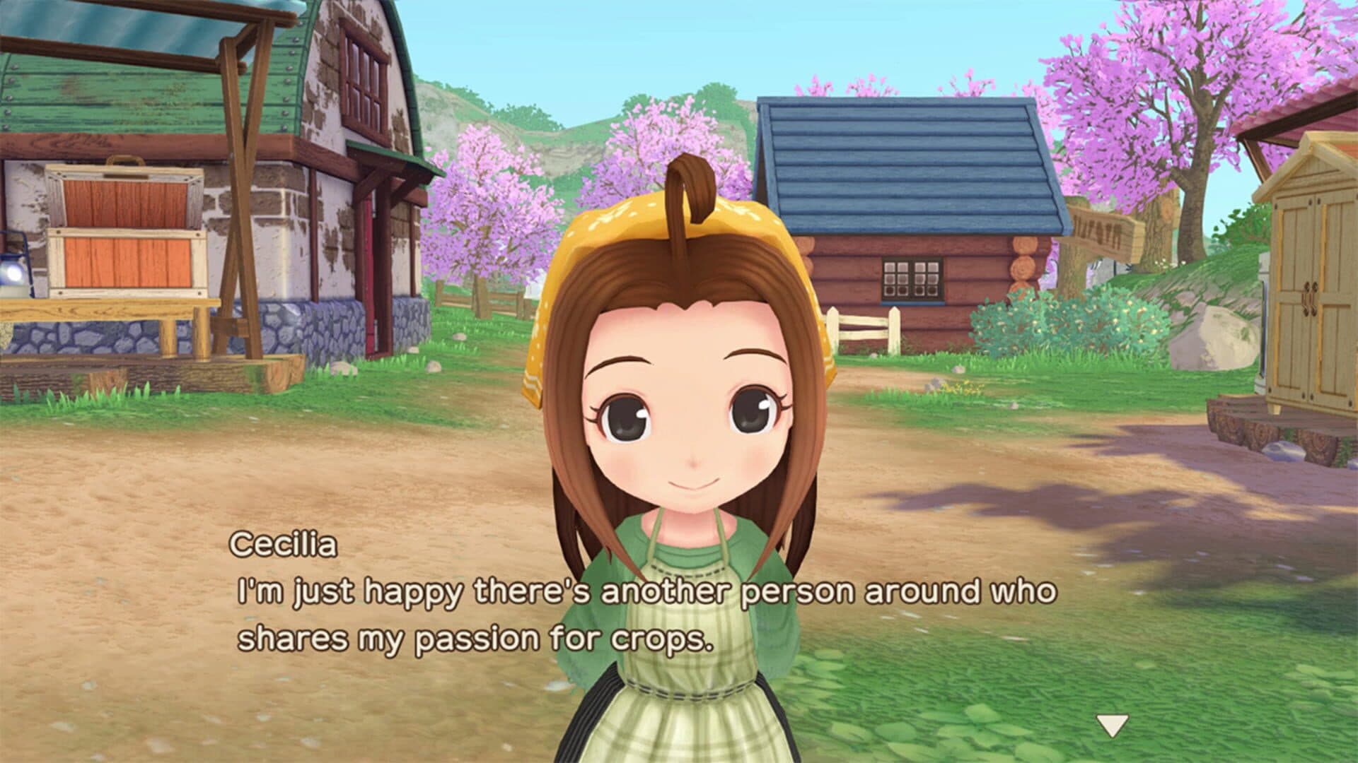 Story of Seasons: A Wonderful Life screenshot 4