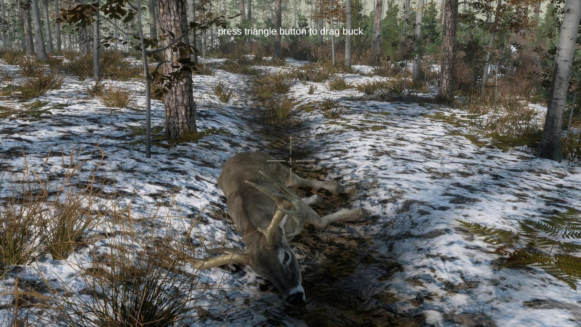 اسکرین‌شات Deer Hunting Camp - 5