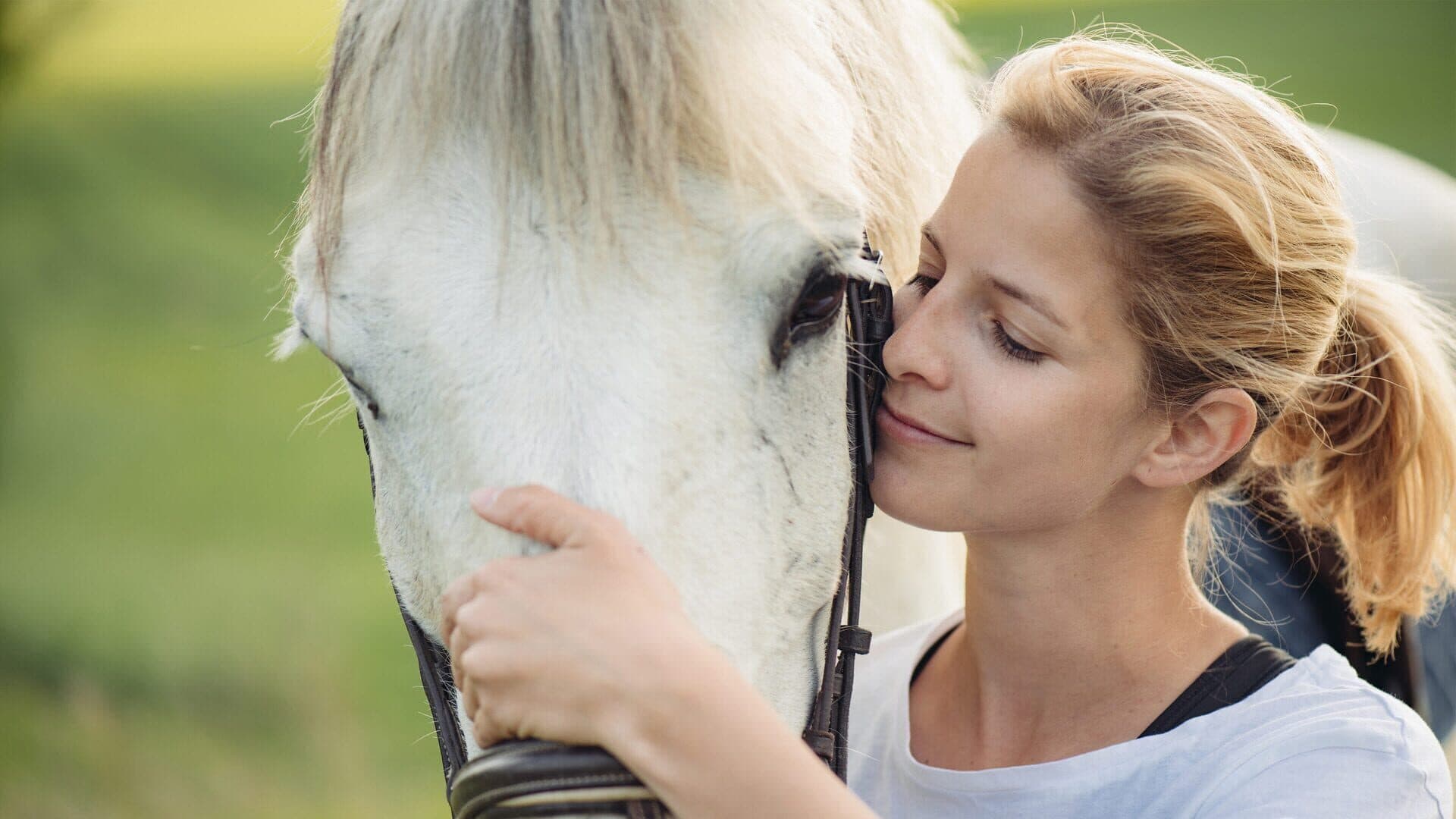 Living with Horses: My Horse Farm