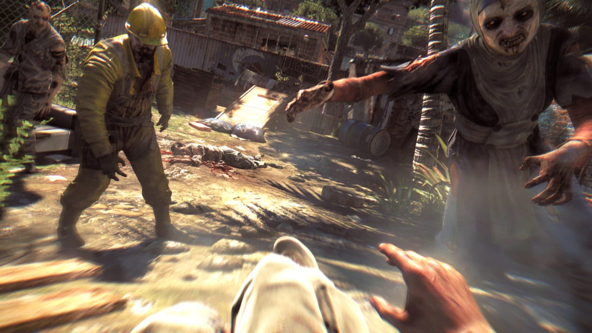 Dying Light screenshot 6