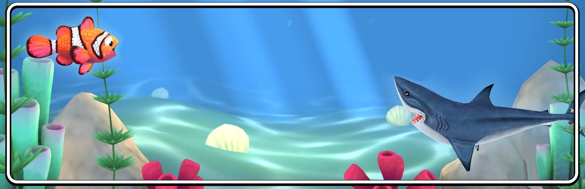 Shark! Shark!