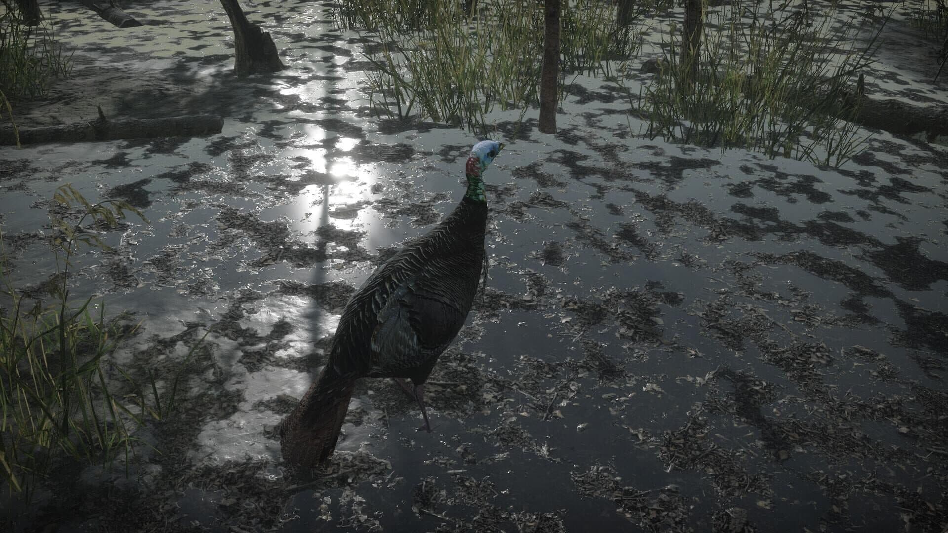 اسکرین‌شات Pro Turkey Hunting - 6