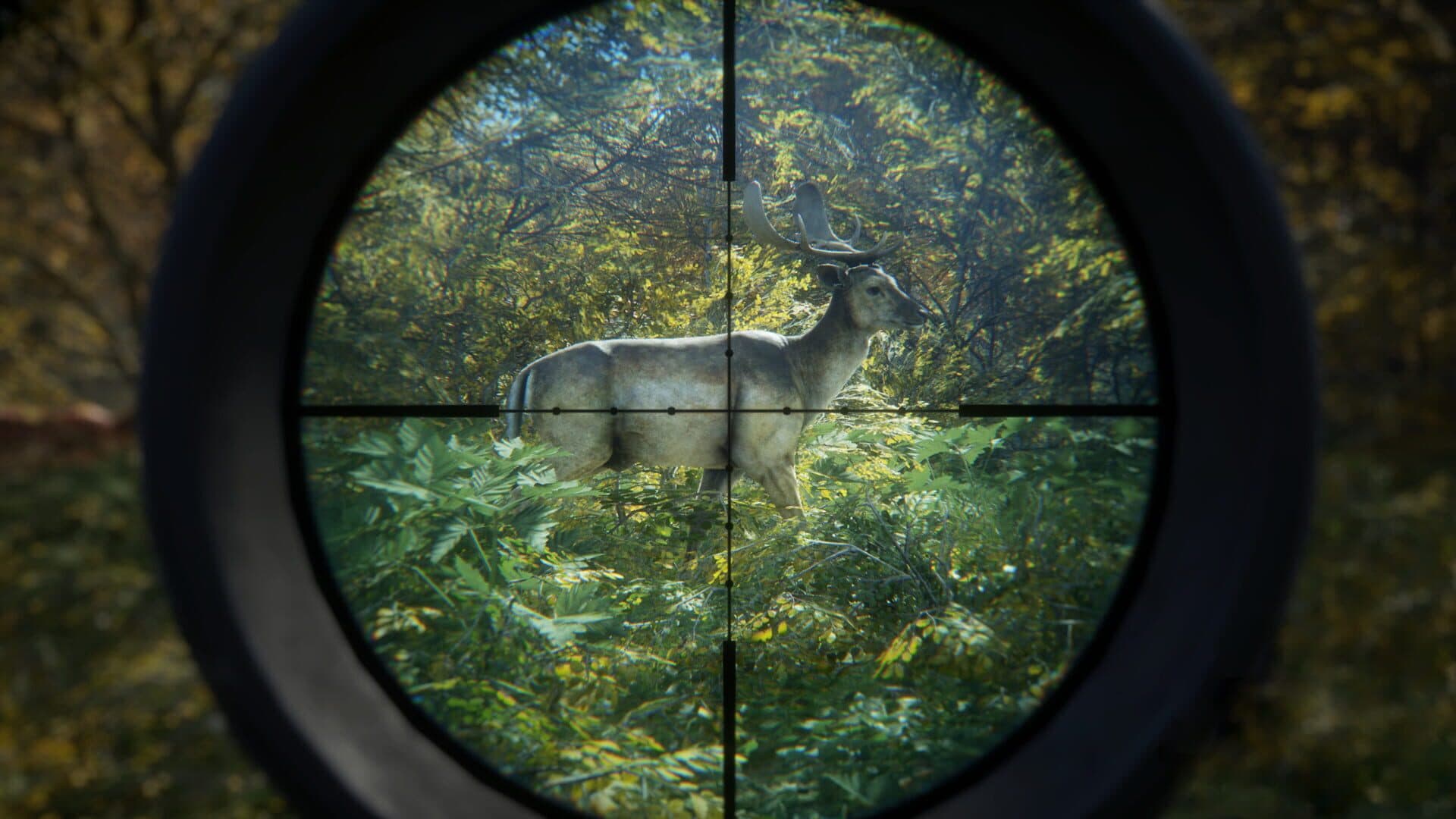 اسکرین‌شات TheHunter: Call of the Wild - 3