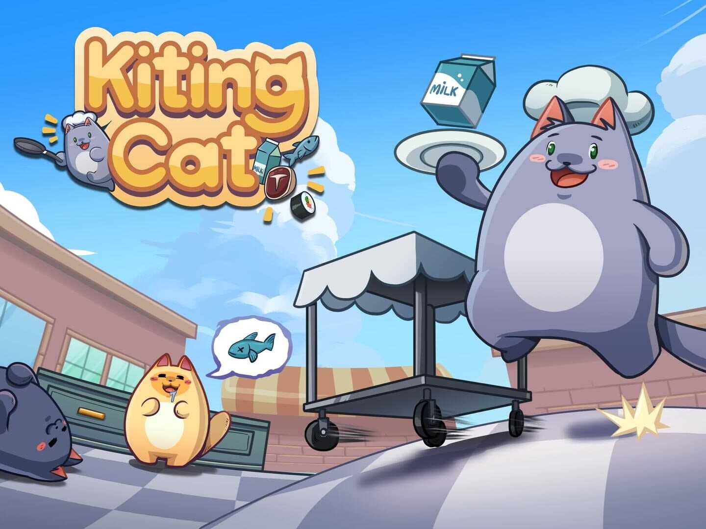 Kiting Cat