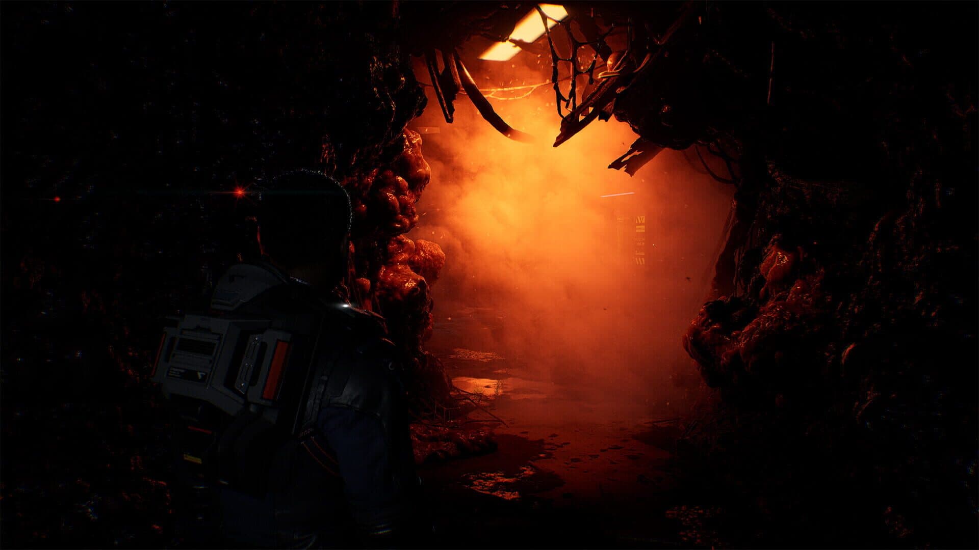 Directive 8020 screenshot 0
