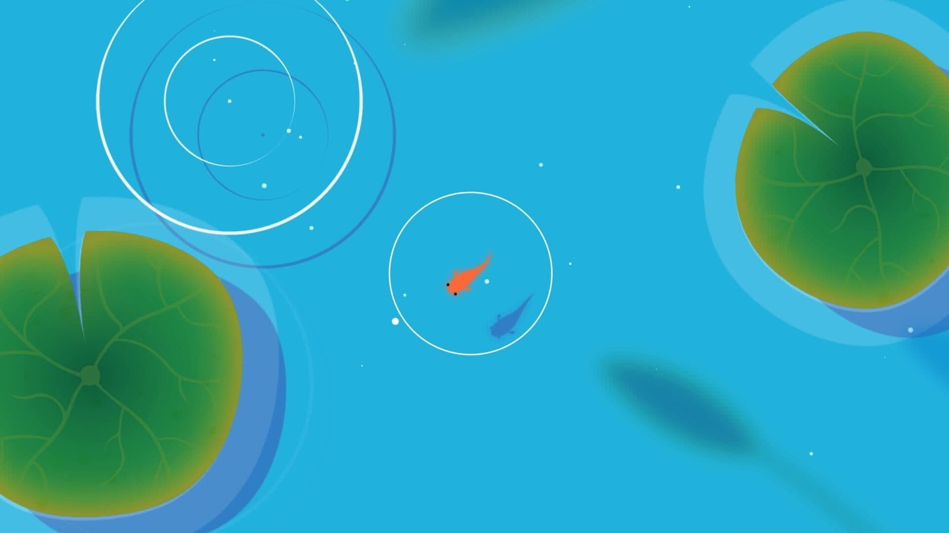 Koi screenshot 3