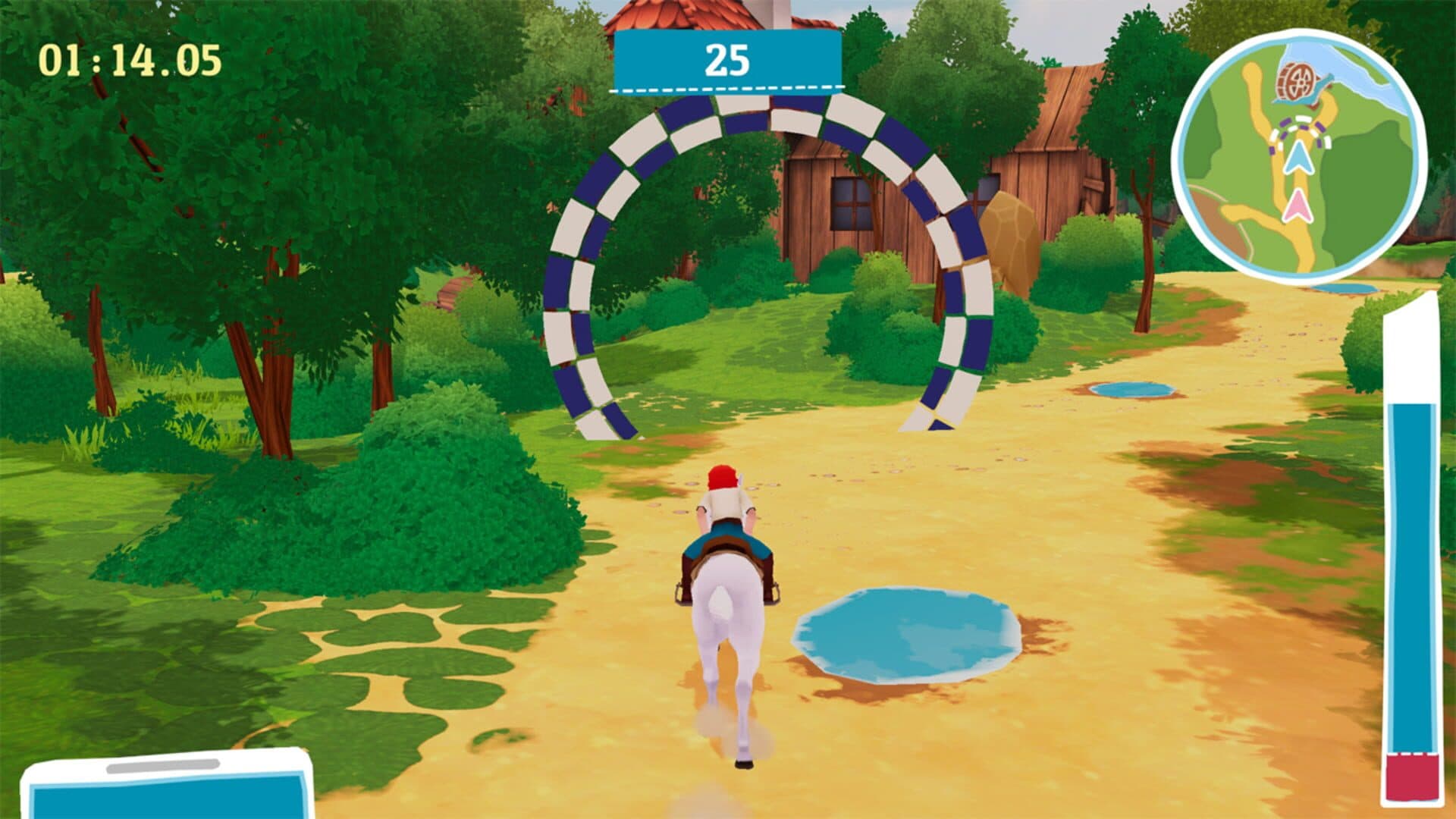 Bibi & Tina: New Adventures with Horses screenshot 5