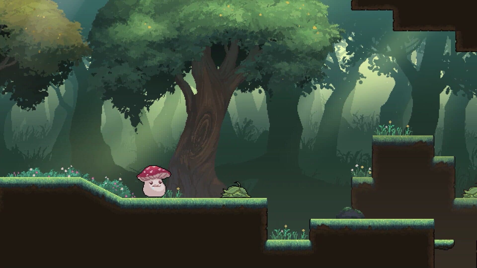 Tevi screenshot 2