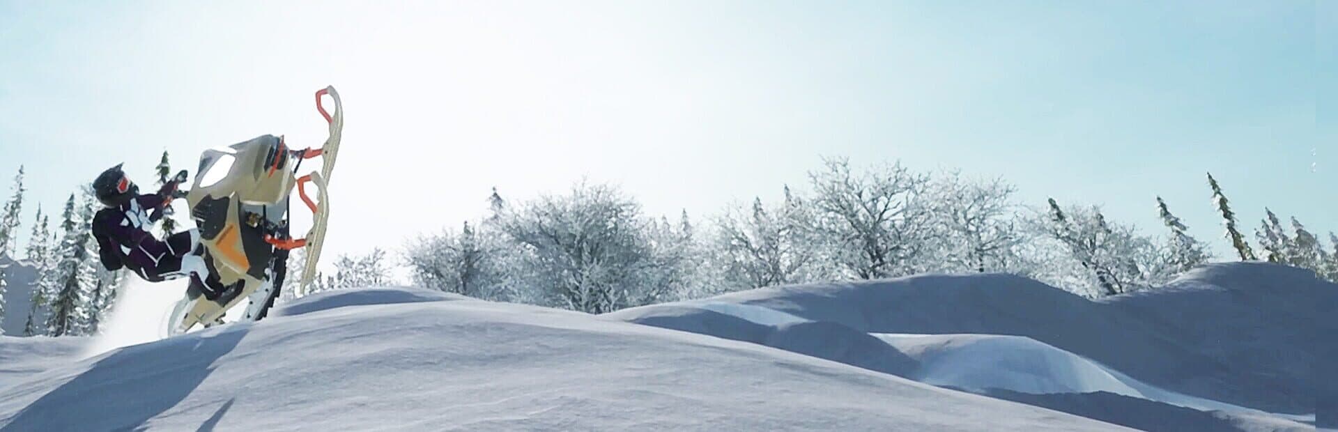 Sledders