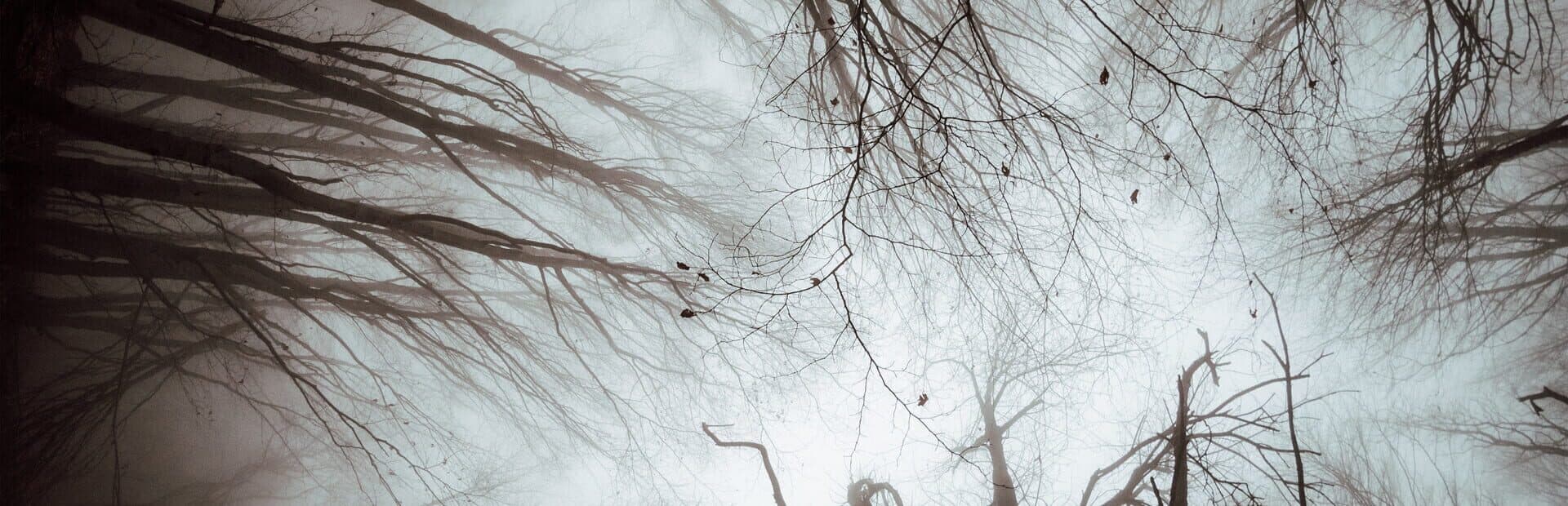 The Black Within