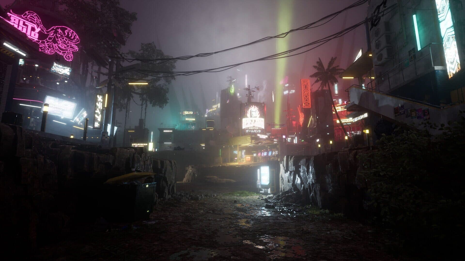 Drizzlepath: Picturae screenshot 2