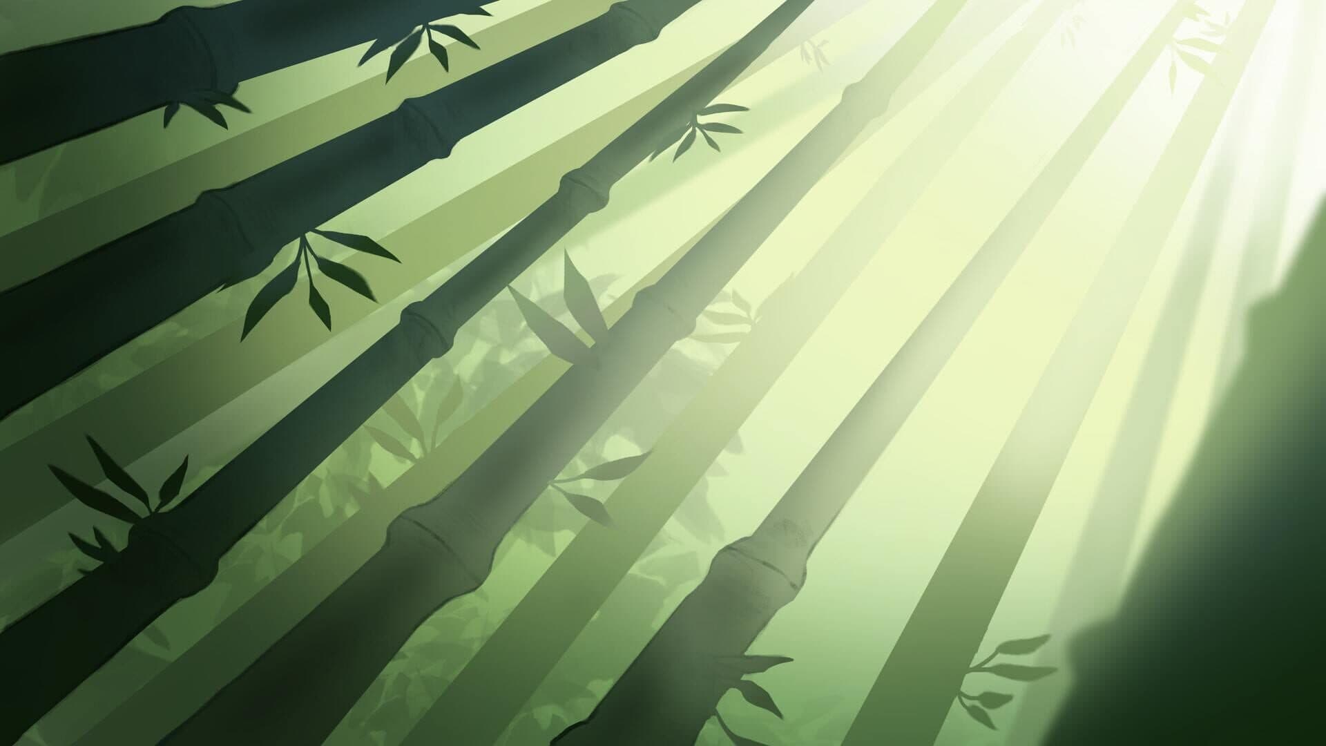 Bamboo