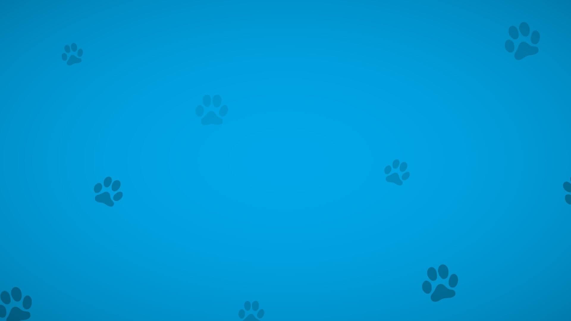 Dogs and Paws