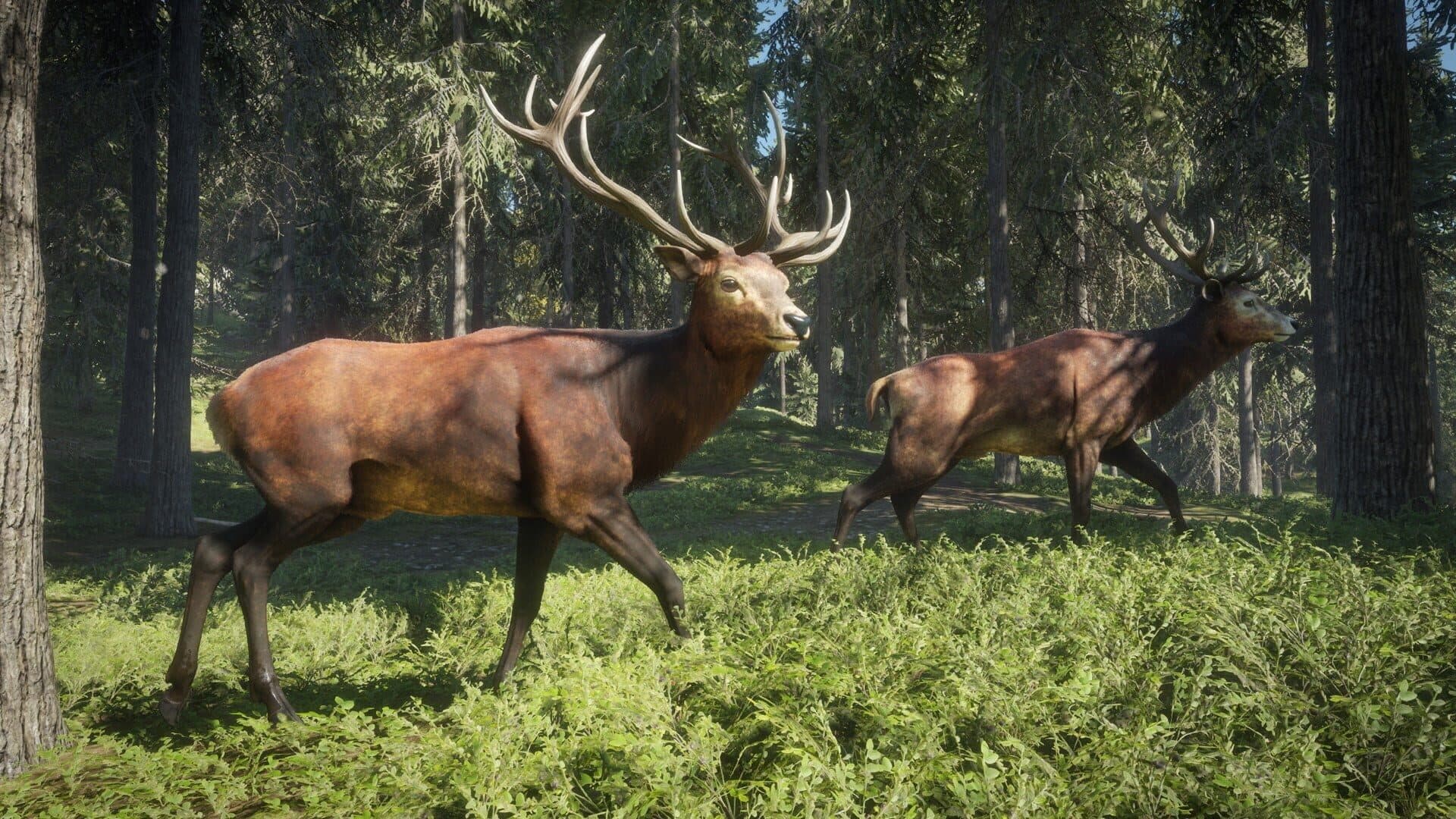 اسکرین‌شات TheHunter: Call of the Wild - 2019 Edition - 2