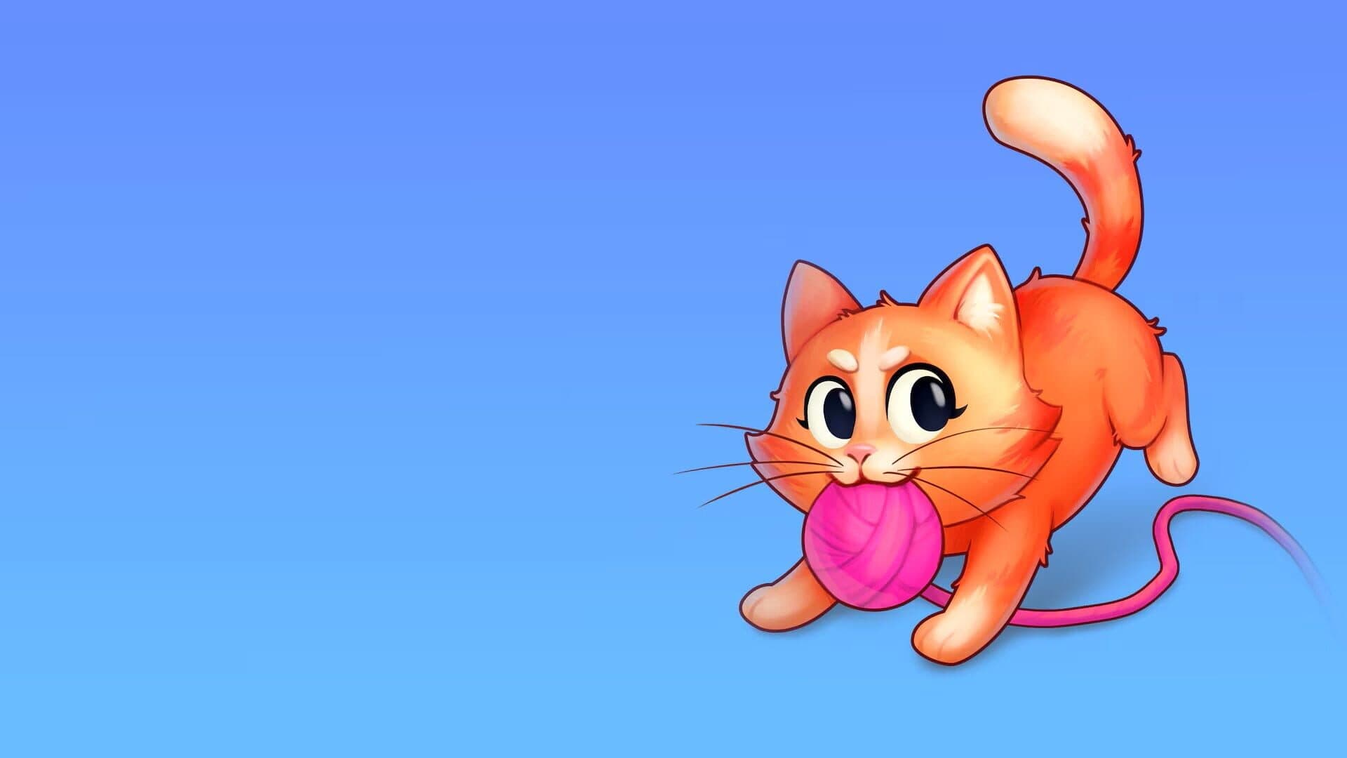 Angry Cat