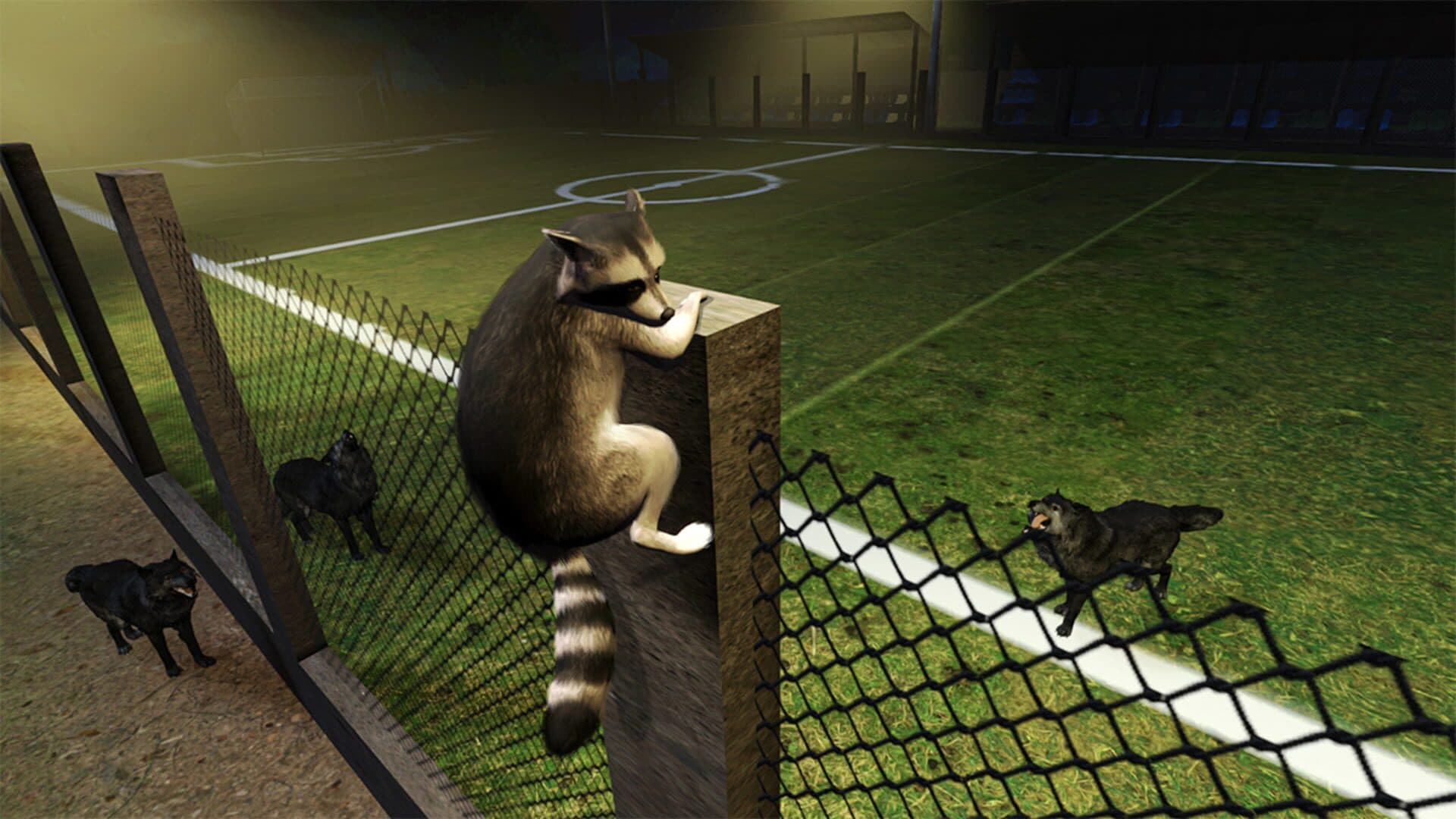 اسکرین‌شات Raccoon Adventure - 6