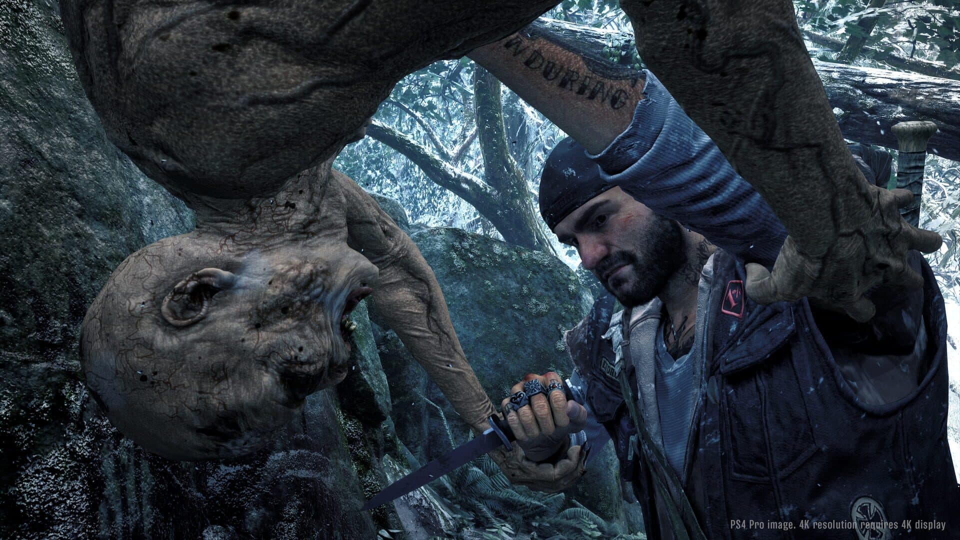 Days Gone screenshot 9