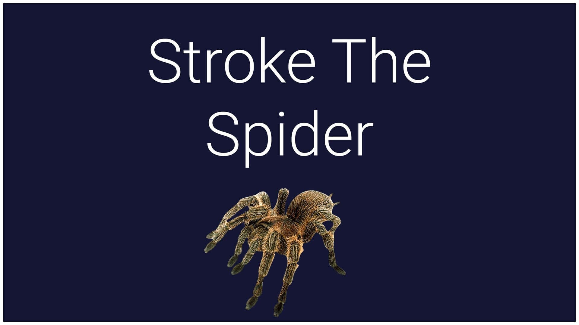 اسکرین‌شات Stroke the Spider - 1