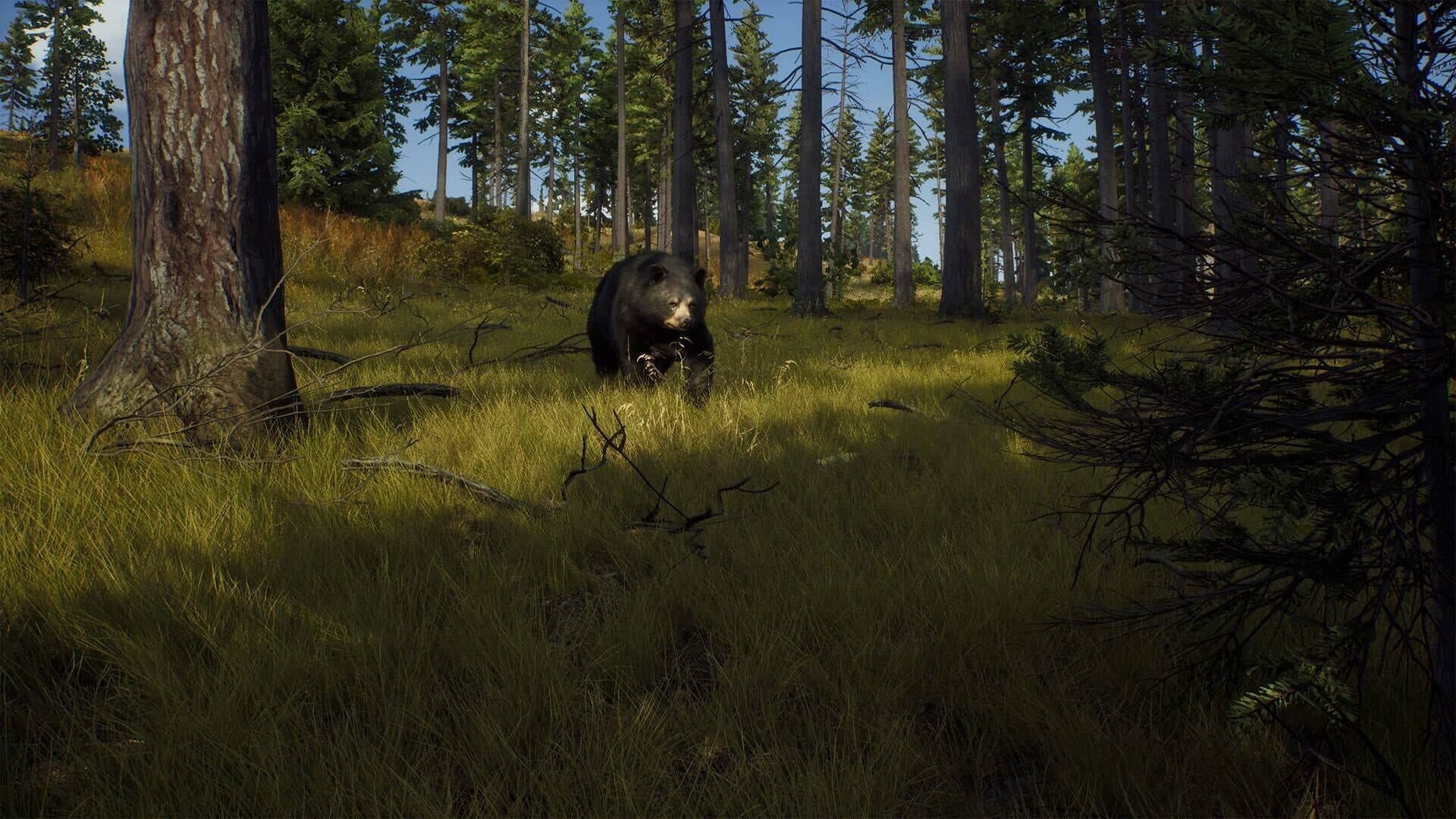 Way of the Hunter screenshot 3