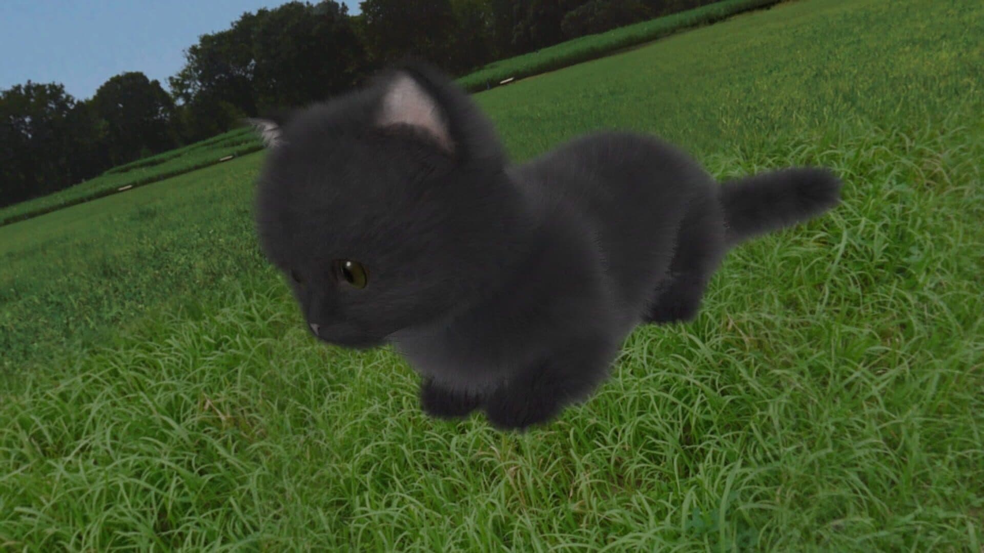 اسکرین‌شات Aabs Animals - 4