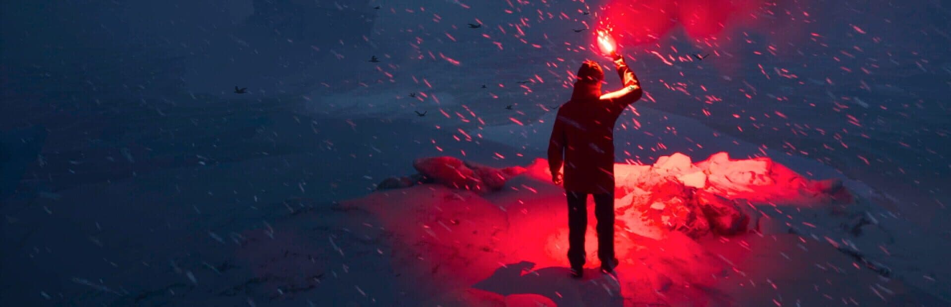 Will: Follow the Light