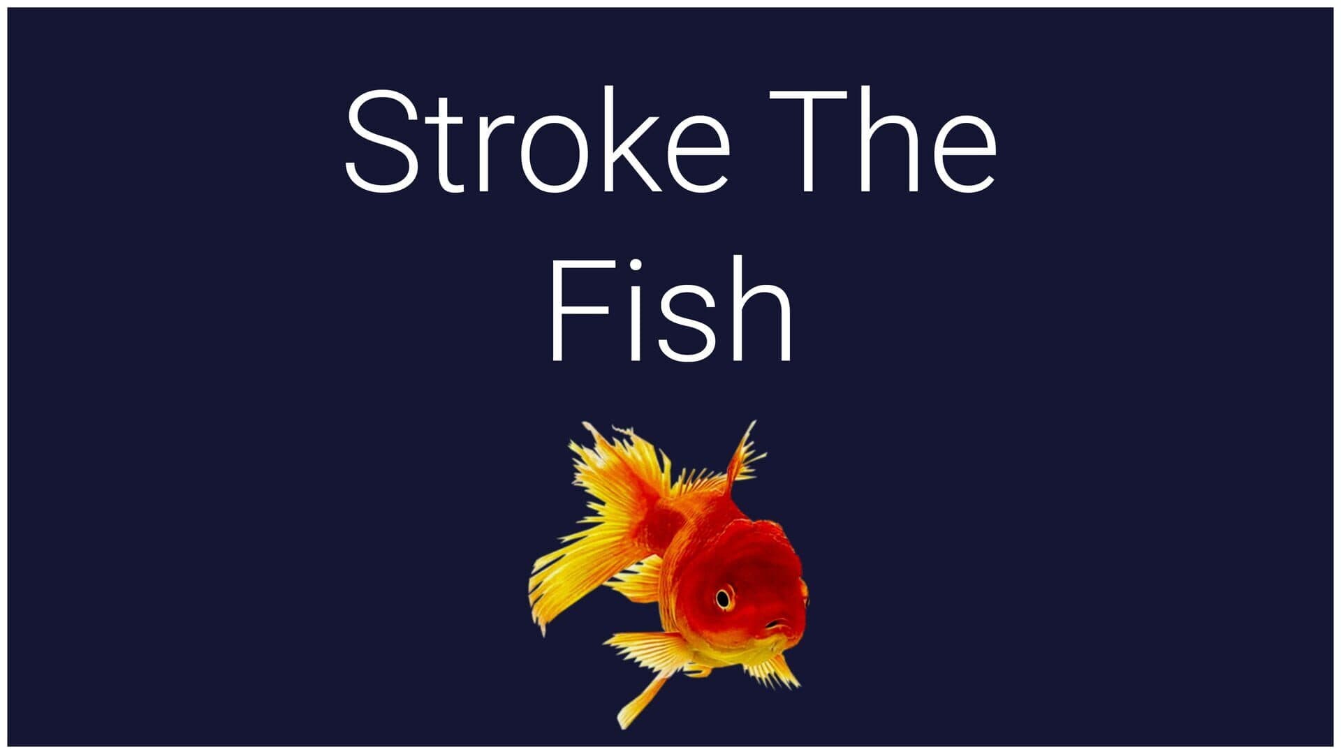 اسکرین‌شات Stroke the Fish - 1