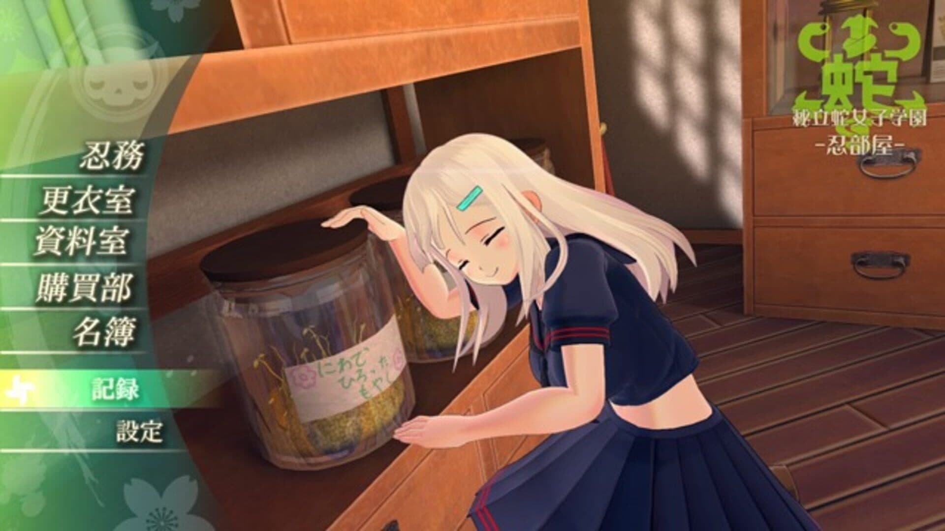 Senran Kagura Burst Re:Newal screenshot 3