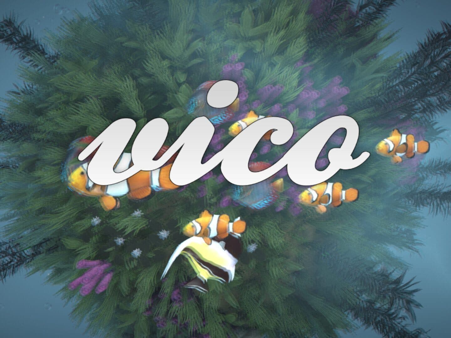 Vico