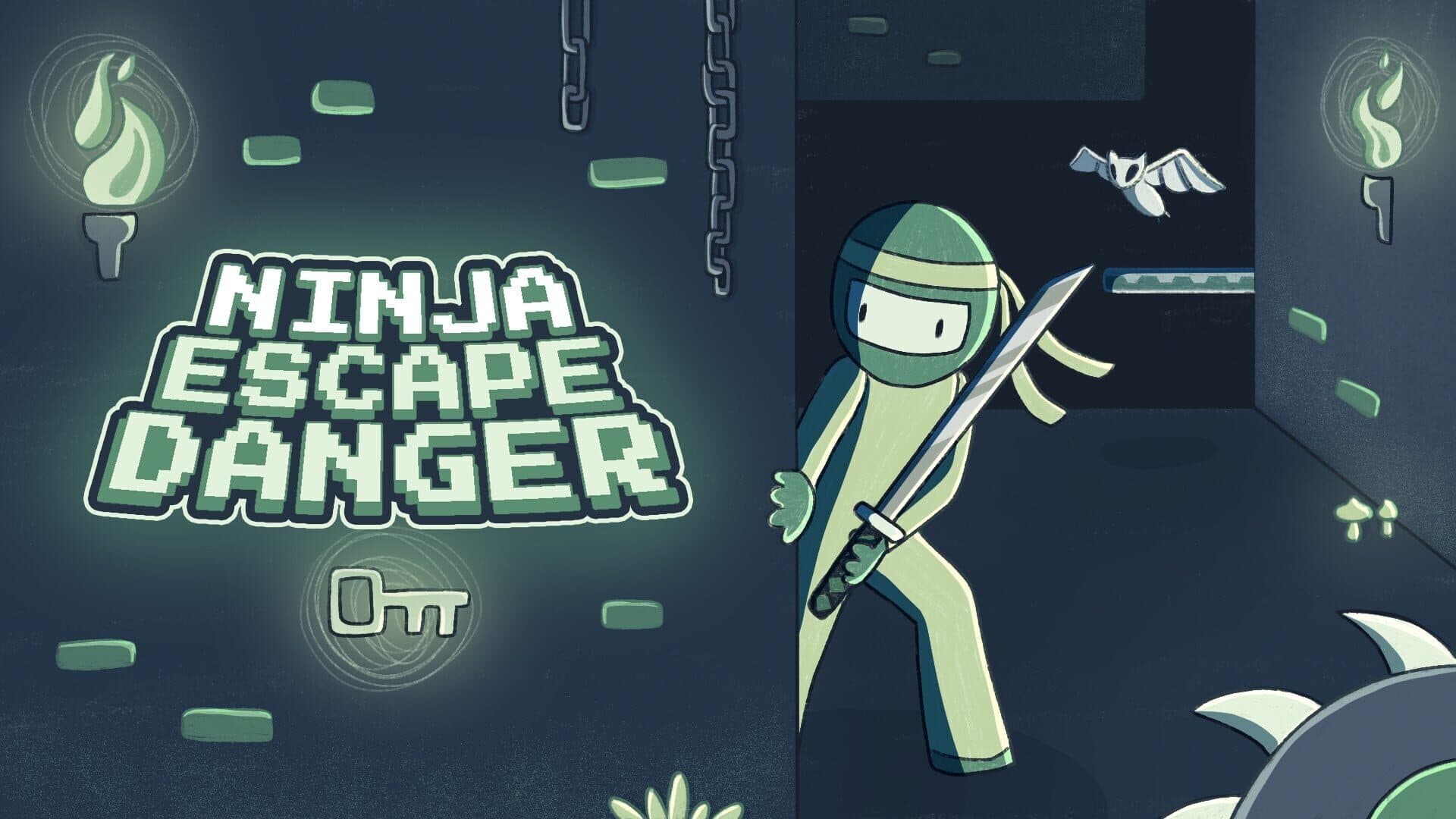 Ninja Escape Danger