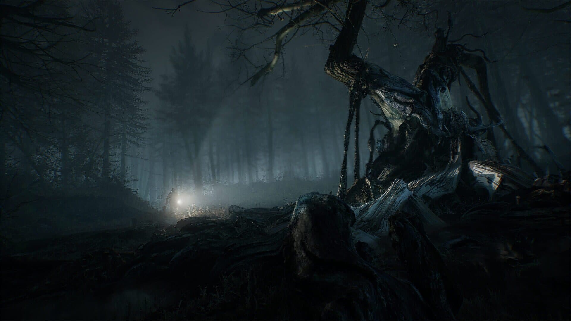 اسکرین‌شات Blair Witch - 4