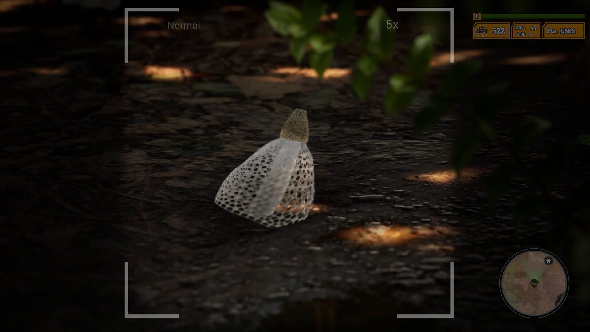 اسکرین‌شات Morels: The Hunt 2 - 6