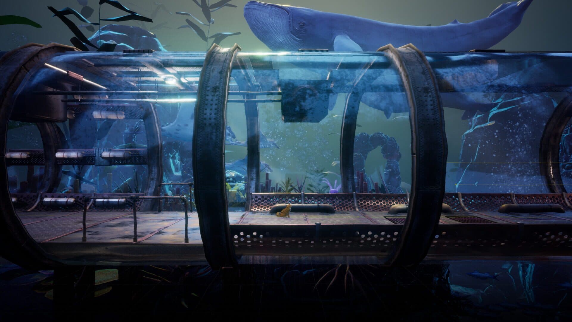 Another Sight screenshot 11
