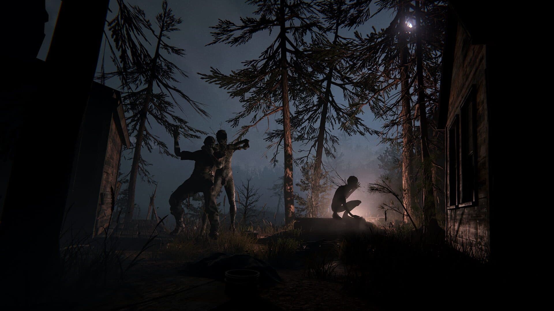 Outlast II screenshot 4