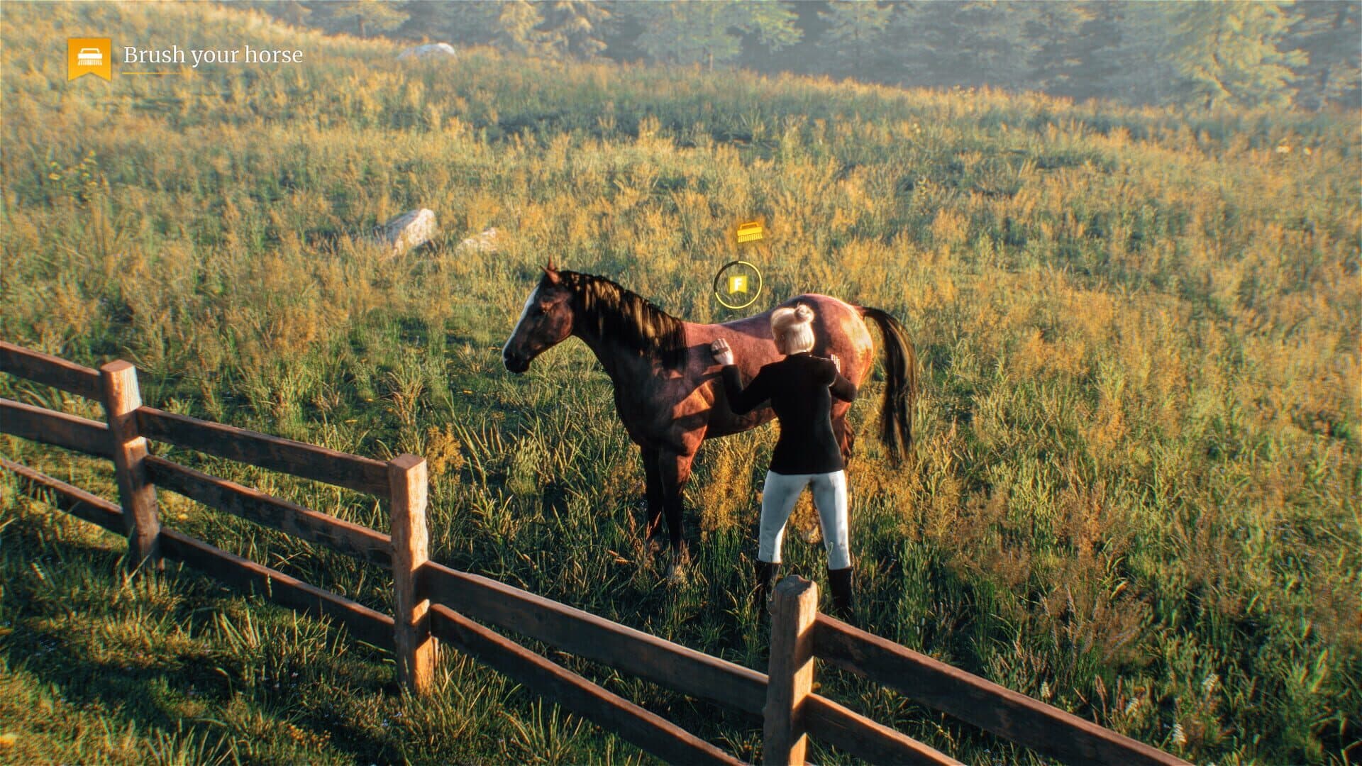 My Horse: Bonded Spirits screenshot 5