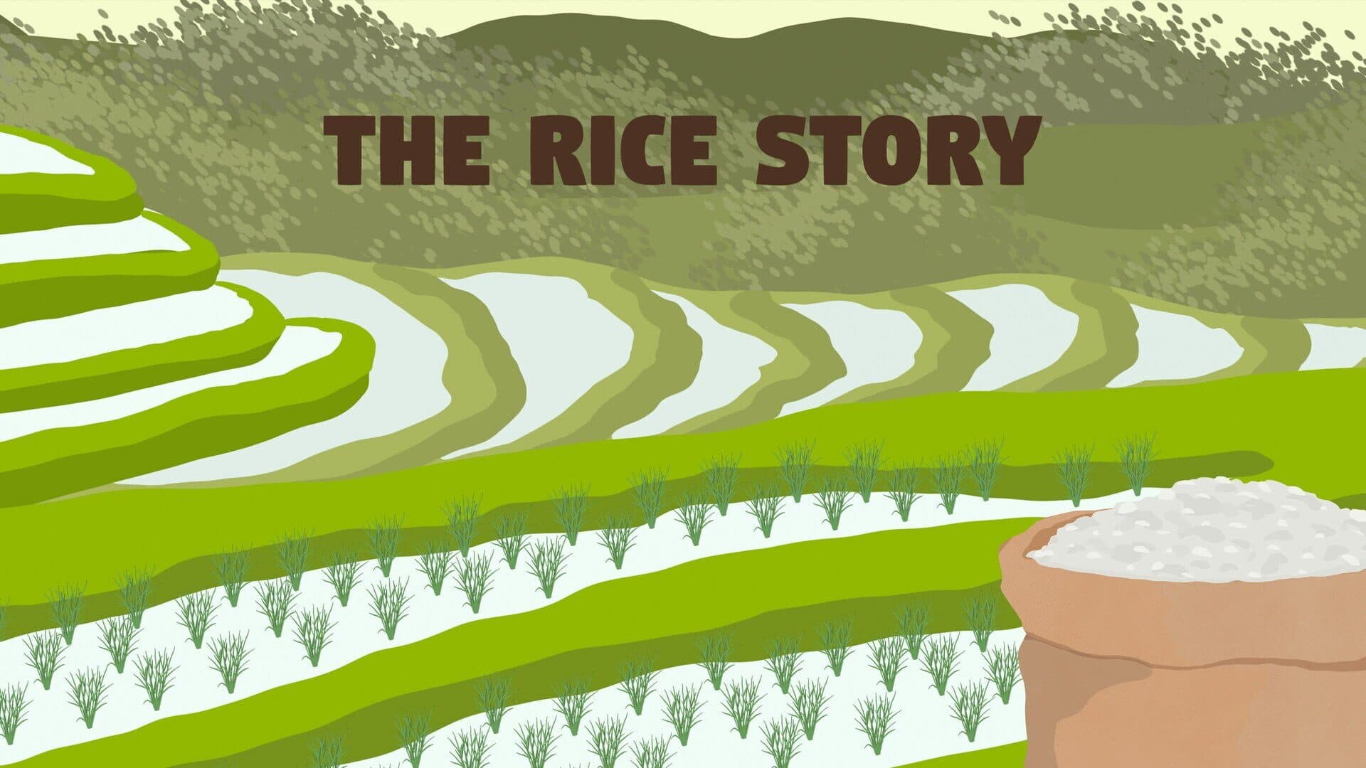 The Rice Story