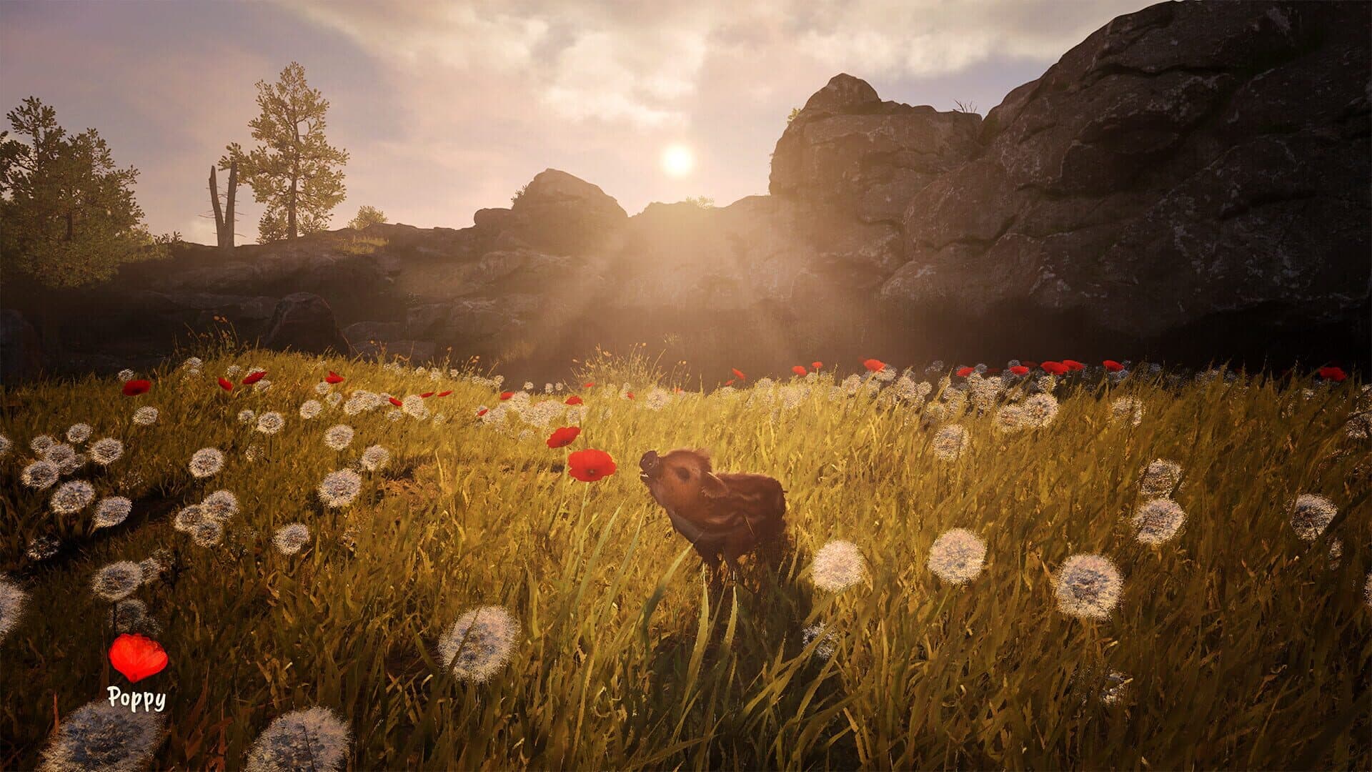Adorable Adventures screenshot 1
