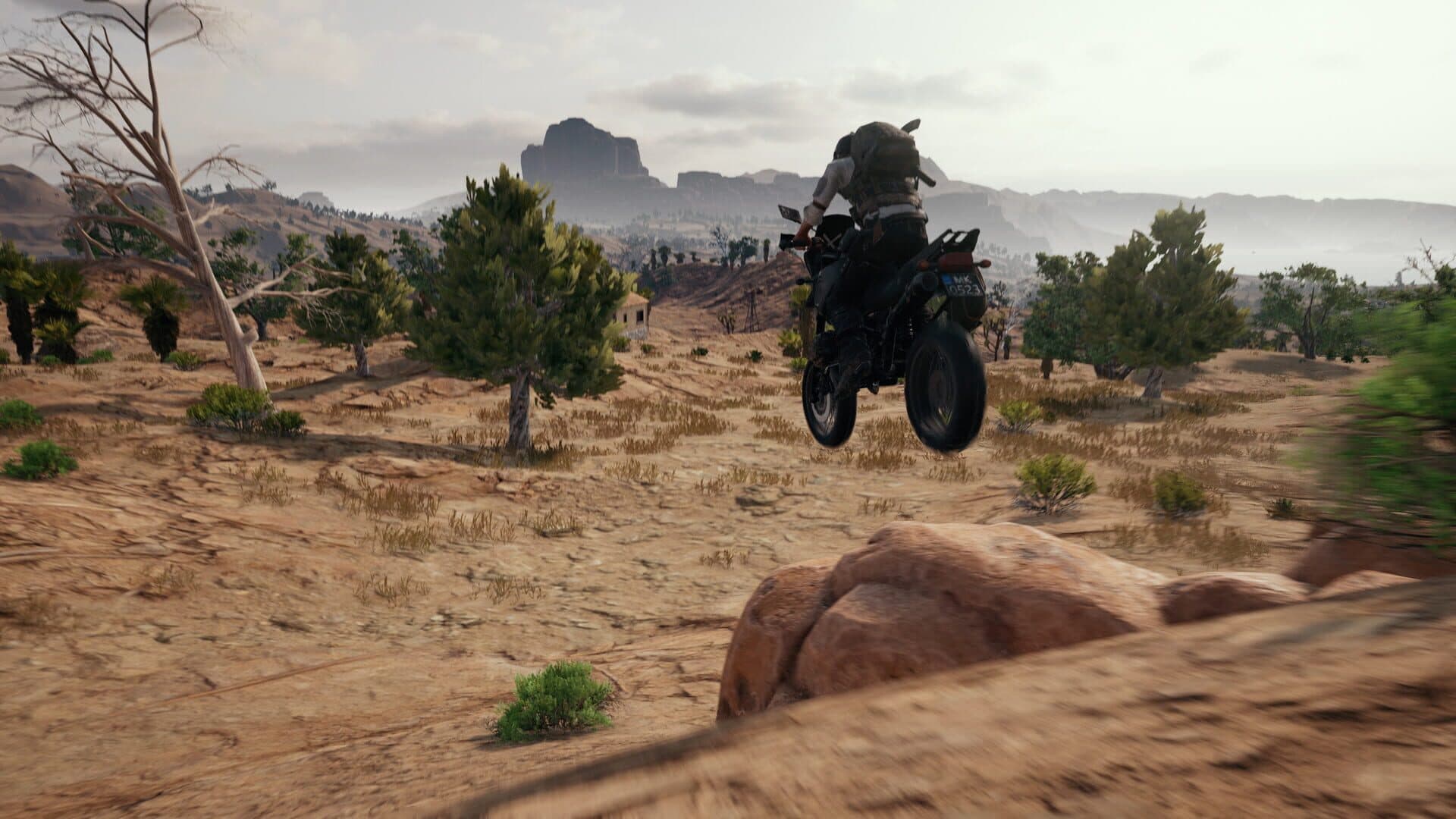 PUBG: Battlegrounds screenshot 2