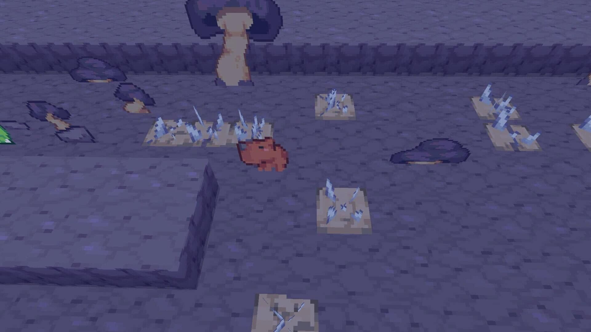 Capy's Quest screenshot 2