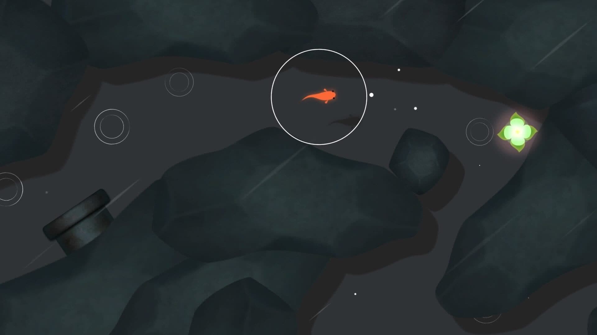 Koi screenshot 2