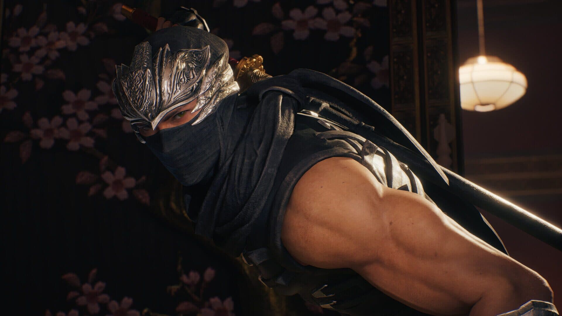 Ninja Gaiden II Black screenshot 0