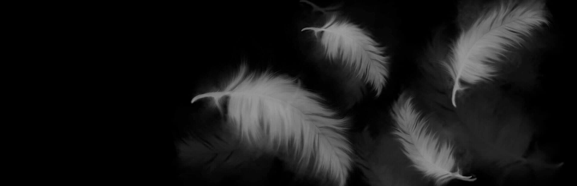 The Silent Swan